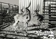propagace dvur_kralove 321