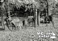 propagace dvur_kralove 297