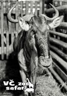 propagace dvur_kralove 398