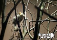 propagace dvur_kralove 854