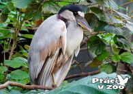 propagace dvur_kralove 1022
