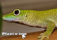 propagace dvur_kralove 1180