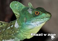 propagace dvur_kralove 1223