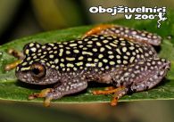 propagace dvur_kralove 1285