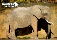 propagace dvur_kralove 861