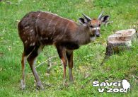 propagace dvur_kralove 924