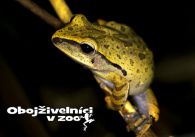 propagace dvur_kralove 1262