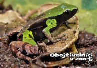 propagace dvur_kralove 1269