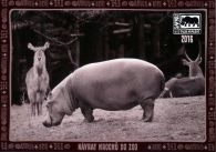 propagace dvur_kralove 616