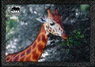 propagace dvur_kralove 619
