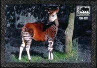 propagace dvur_kralove 617