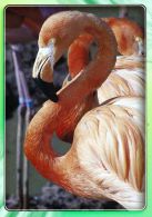 propagace dvur_kralove 1417