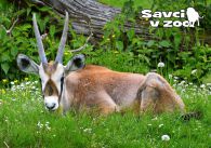 propagace dvur_kralove 935