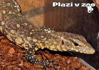 propagace dvur_kralove 1213