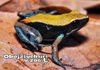 propagace dvur_kralove 1270