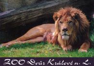 propagace dvur_kralove 485