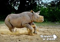 propagace dvur_kralove 875