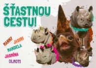 propagace dvur_kralove 563