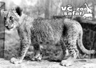 propagace dvur_kralove 283