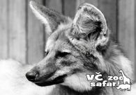 propagace dvur_kralove 292