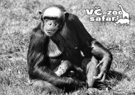 propagace dvur_kralove 302