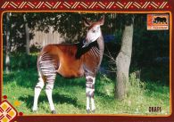 propagace dvur_kralove 635