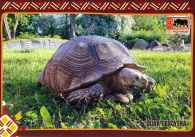 propagace dvur_kralove 639