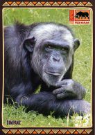 propagace dvur_kralove 1381