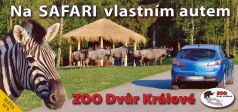 propagace dvur_kralove 1869