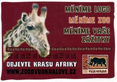 propagace dvur_kralove 1881
