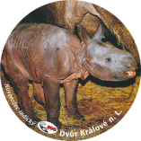 propagace dvur_kralove 1955