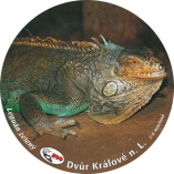 propagace dvur_kralove 1963