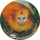 propagace dvur_kralove 1953