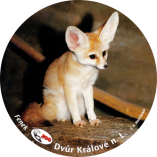 propagace dvur_kralove 1949