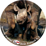 propagace dvur_kralove 1957