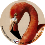 propagace dvur_kralove 1960