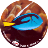 propagace dvur_kralove 1965