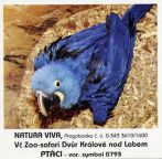 propagace dvur_kralove 1941