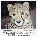 propagace dvur_kralove 1936