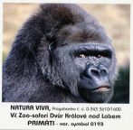 propagace dvur_kralove 1938