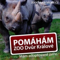 propagace dvur_kralove 1966