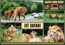 propagace dvur_kralove 1769