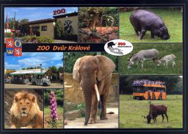 propagace dvur_kralove 1792