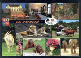 propagace dvur_kralove 1796