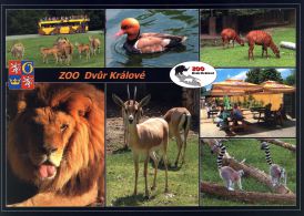 propagace dvur_kralove 1805