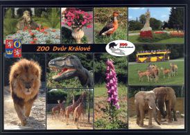 propagace dvur_kralove 1800