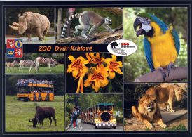 propagace dvur_kralove 1806