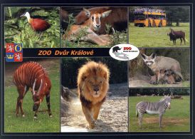 propagace dvur_kralove 1802