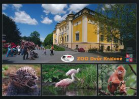 propagace dvur_kralove 1786