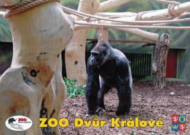 propagace dvur_kralove 1812